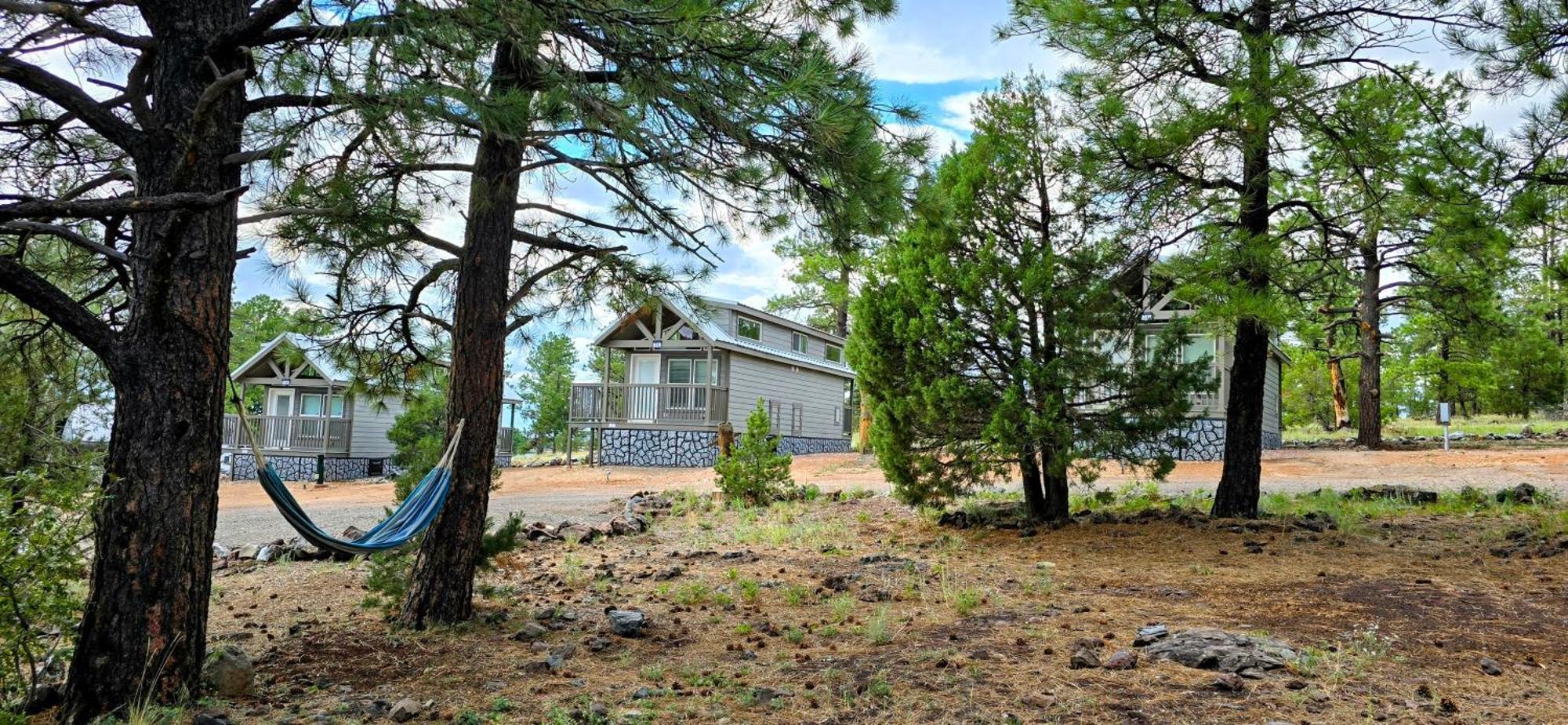 Cabin With A Mountain View 6B Williams Bagian luar foto